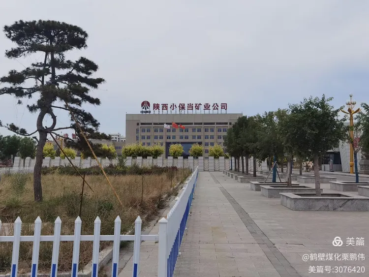 I2ZmZmZmZg_750_0_0_0_q80 (3).png